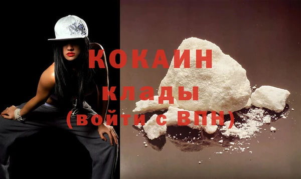 молекула духа Осинники