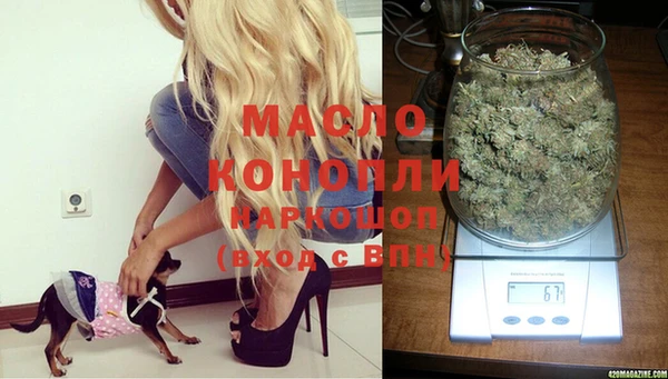 молекула духа Осинники