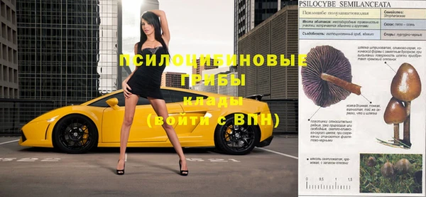 молекула духа Осинники