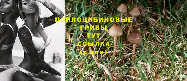 молекула духа Осинники