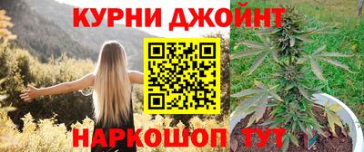 сатива Беслан