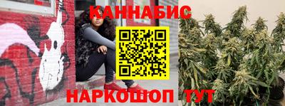 стафф Будённовск