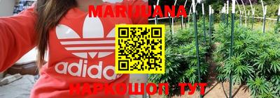 сатива Беслан