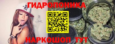 гашик Бузулук