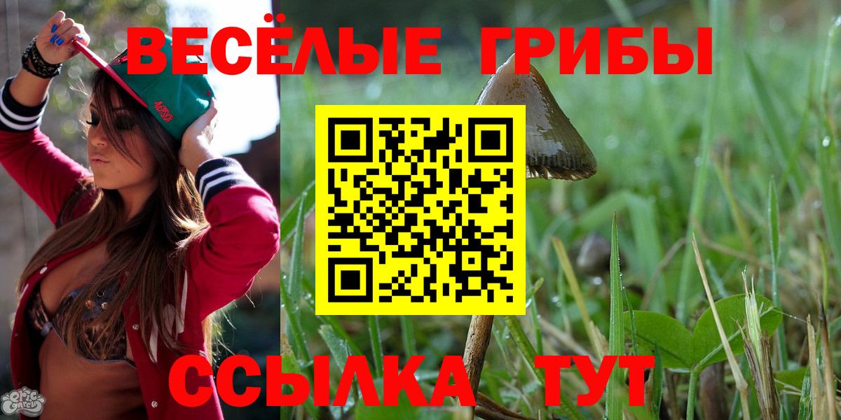 цены   Саров  Псилоцибиновые грибы Psilocybe 