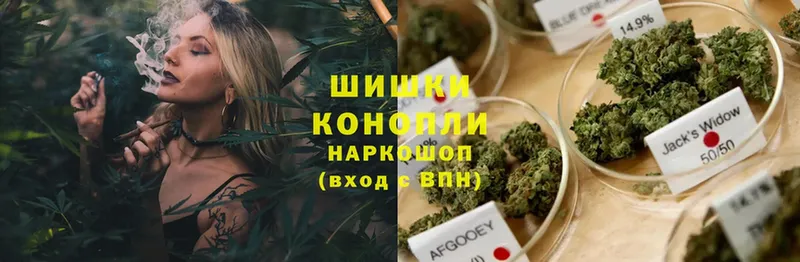 Конопля Ganja  Саров 